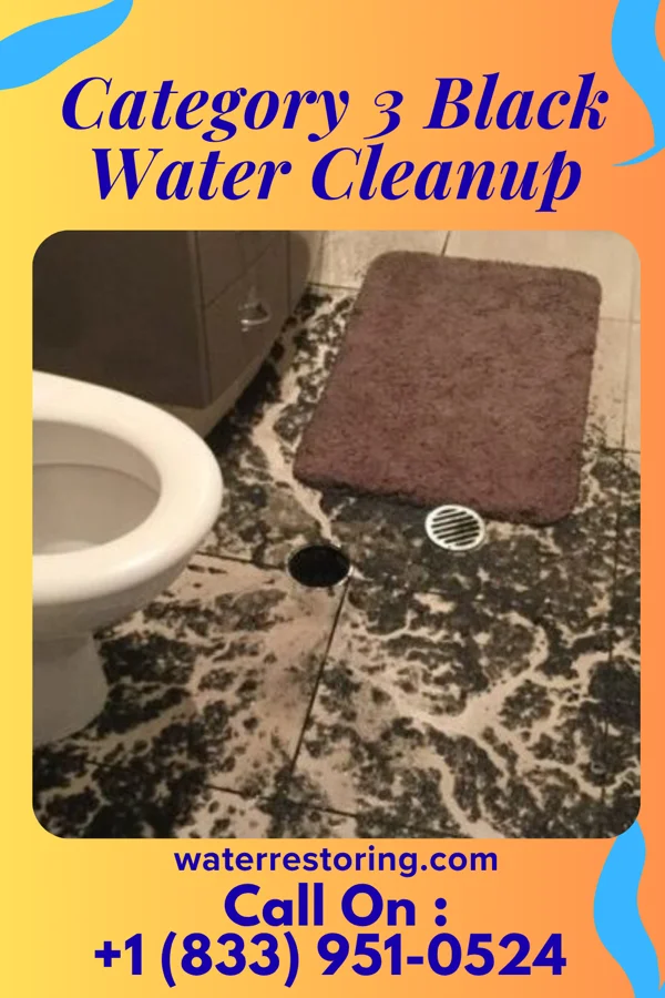 Category 3 Black Water Cleanup in Rio Rancho, NM